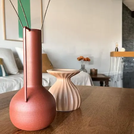 Appartement Grand Apt Au Coeur D'ajaccio - Ac & 5min Plage